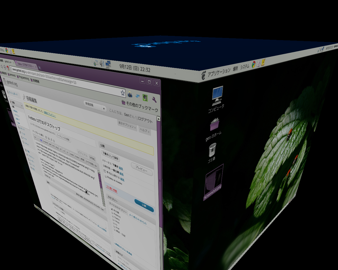 Genteel Org Fedora 13で3dデスクトップ